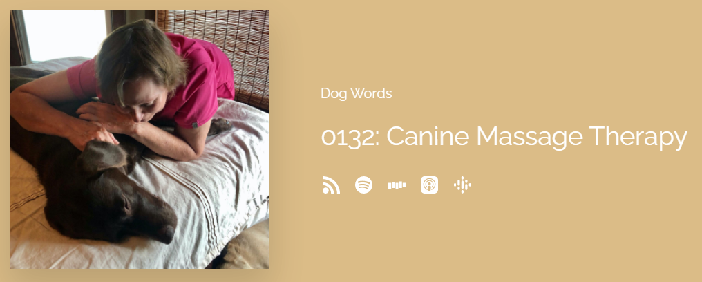Our Canine Massage Therapist Liz Is On Rosie Fund’s Dog Words