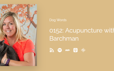 Dr. Sally Barchman Discusses Acupuncture and Other Alternative Treatments For Dogs